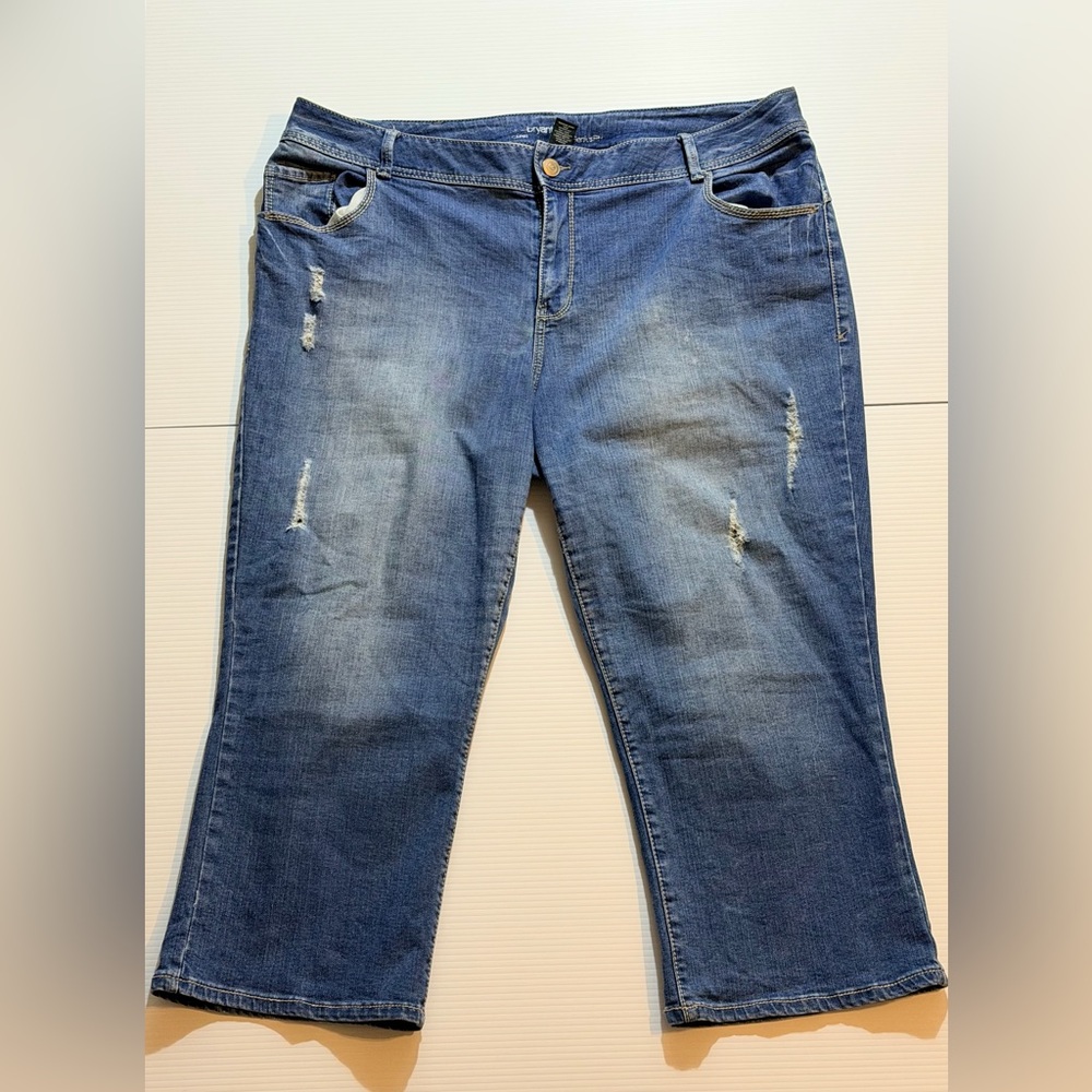 Lane Bryant Straight Leg Jeans in Medium Blue Wash